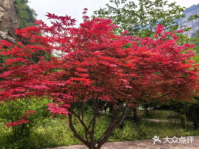 河南宝泉旅游区图片