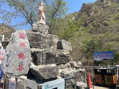 -大岭沟猕猴桃谷风景区