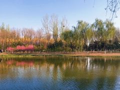 -大兴滨河森林公园