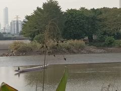 -黄埔古港
