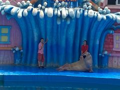 -华夏文旅海洋公园