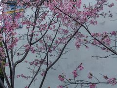 -乌山风景区