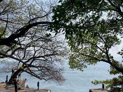 -抚仙湖禄充风景区