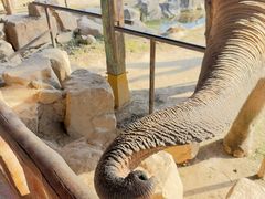 -野生动物园-停车场