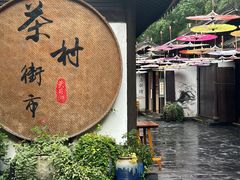 -天目湖山水园