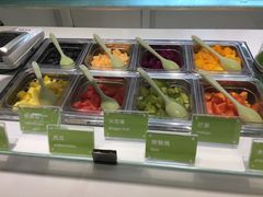 -Salud撒露欧洲冻酸奶(北苑上品店)