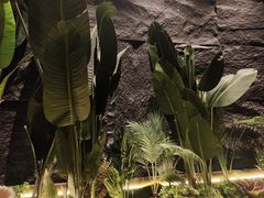 -云海肴云南菜·蒸汽石锅鱼(青岛万象城店)