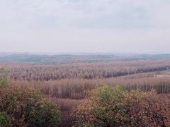 -塞罕坝国家级自然保护区