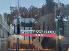 -广州白天鹅宾馆