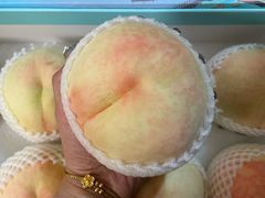 -老袁家蜜桃农场·阳山水蜜桃