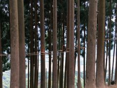 -太阳湾风景区