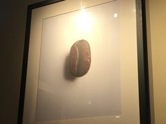 -星巴克(广州动漫星城东区店)