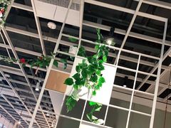 -Aqua Oasis 水天堂(石路天虹店)