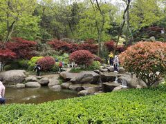 -北岭山森林公园