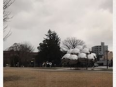 -金泽21世纪美术馆