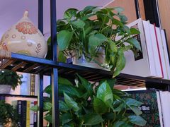 -俭寨大盘芦花土鸡·小公鸡·烧烤新疆菜(云通店)