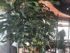 -盐帮食坊•小河帮川菜(四川师大店)