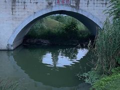 -眉山湿地公园(东坡区)