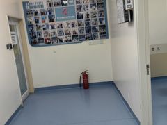 -全心全意动物诊疗中心医院(北苑店)