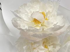 -好利来(朝外店)