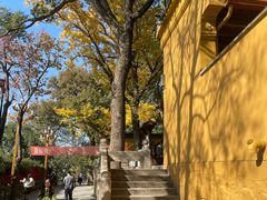-灵岩山风景区