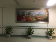 -中国人民解放军总医院(301医院)