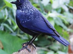 -火炉山森林公园