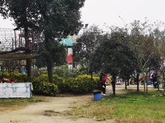 -秀丽东方