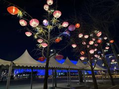 -水立方嬉水乐园