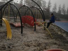 -铁山坪森林公园