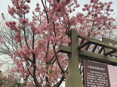 -凤凰沟景区