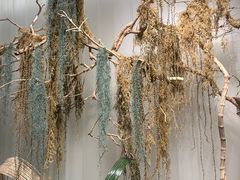 -艳阳天·非遗楚菜(武汉客厅店)