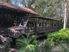 -奥兰多迪士尼动物王国乐园