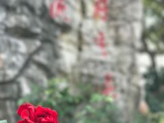 -鹅湖玫瑰文化园