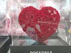 -ROSEONLY诺誓(广州K11店)