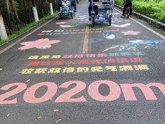 -广东花都湖国家湿地公园