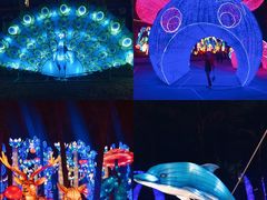 -欢乐海岸椰林沙滩-2025湾区超级灯会