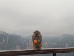 -重庆云阳龙缸景区