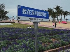 -玫瑰海岸文化旅游度假区