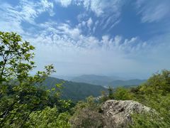 -王顺山国家森林公园
