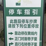 被绿植包围的咖啡店🌵🪴🎍🌿