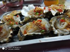 -烁佳海鲜大馅饺子