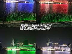 -金沙湖公园