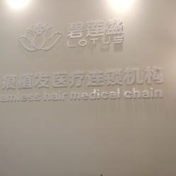 -碧莲盛·不剃发植发