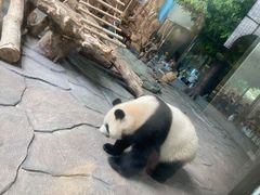 -泉州海丝野生动物世界