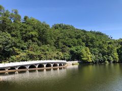 -深圳仙湖植物园