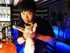 -迦南D BAR