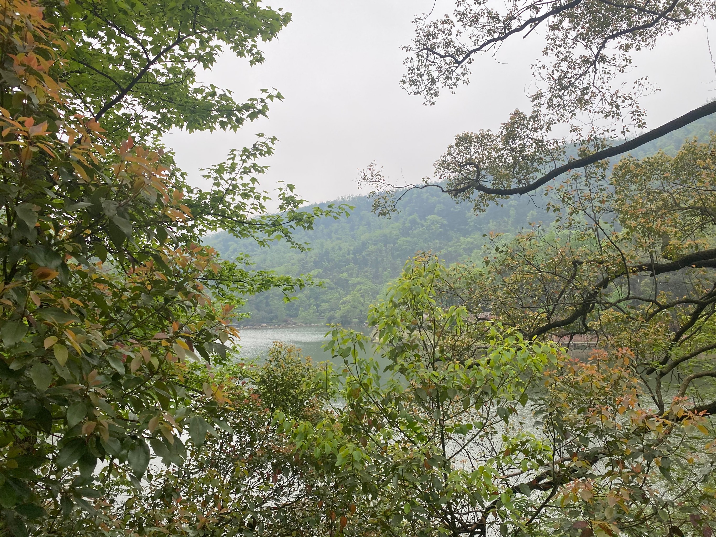 桃花岭景区图片