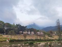 -梧桐山风景名胜区