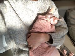 -猫腻·猫咖·撸猫馆(星光大道店)
